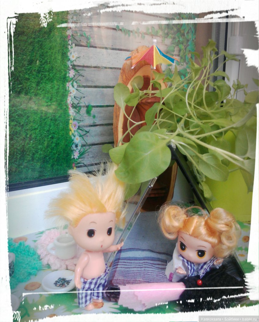 Фотоальбом любимчиков. Июль