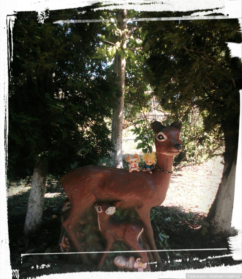 Фотоальбом любимчиков. Июль