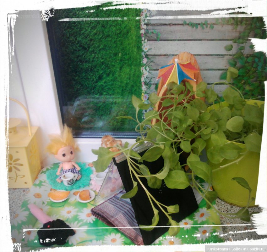 Фотоальбом любимчиков. Июль