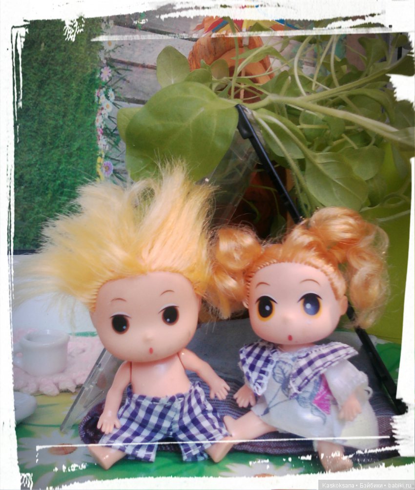 Фотоальбом любимчиков. Июль