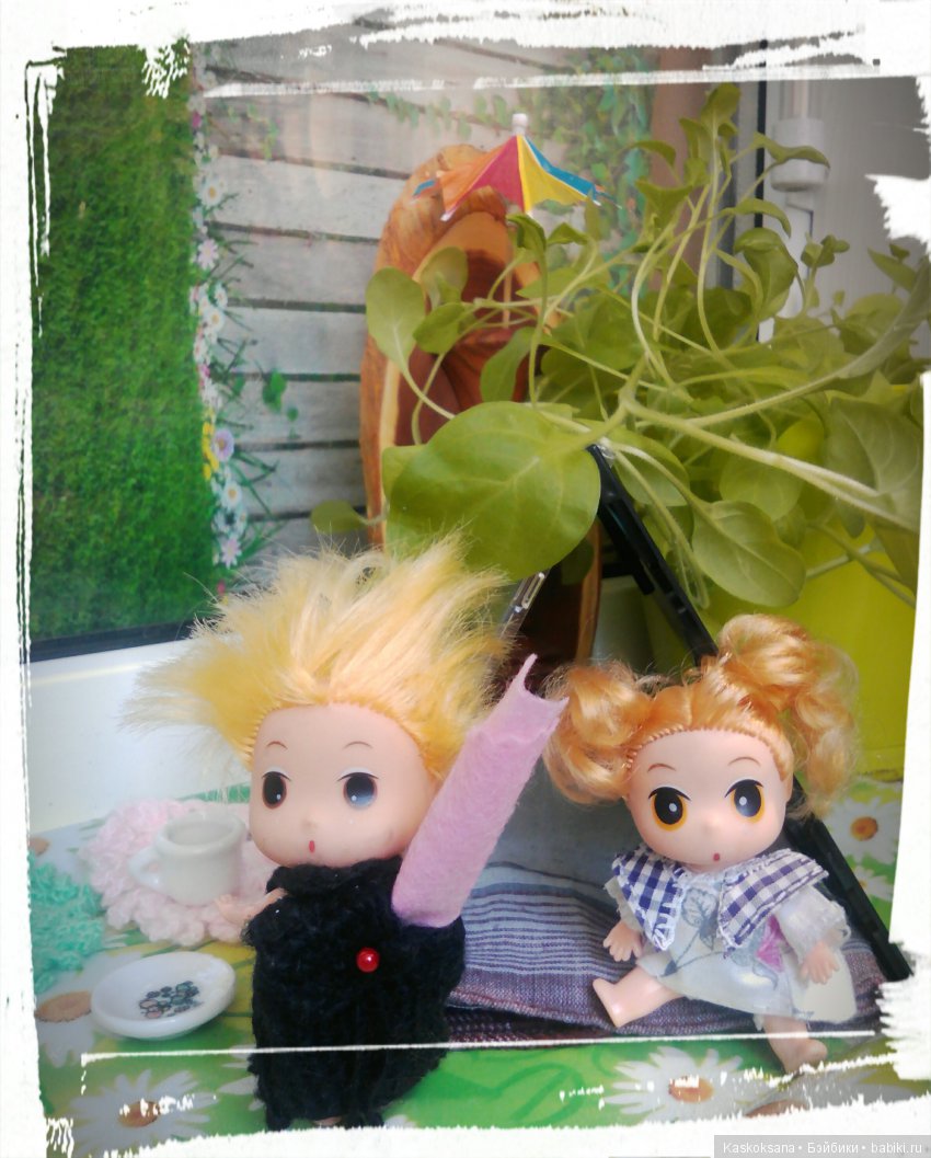 Фотоальбом любимчиков. Июль