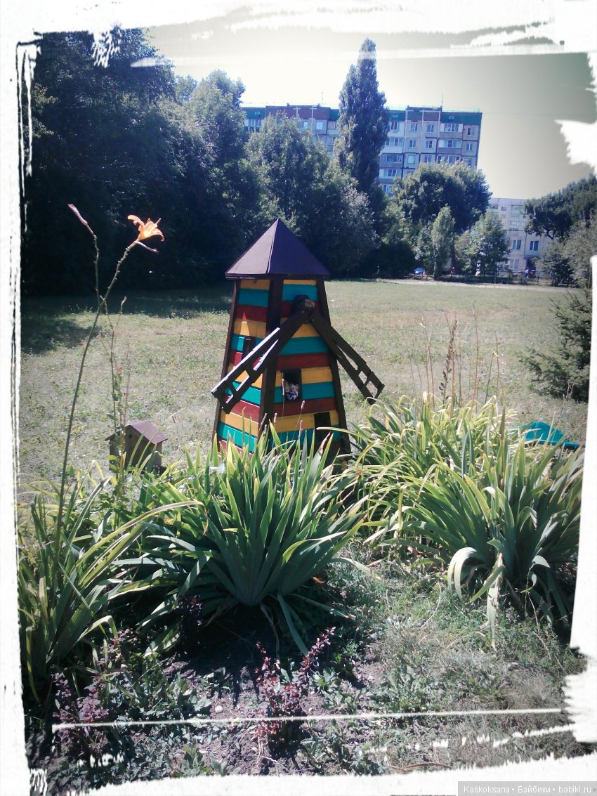 Фотоальбом любимчиков. Июль