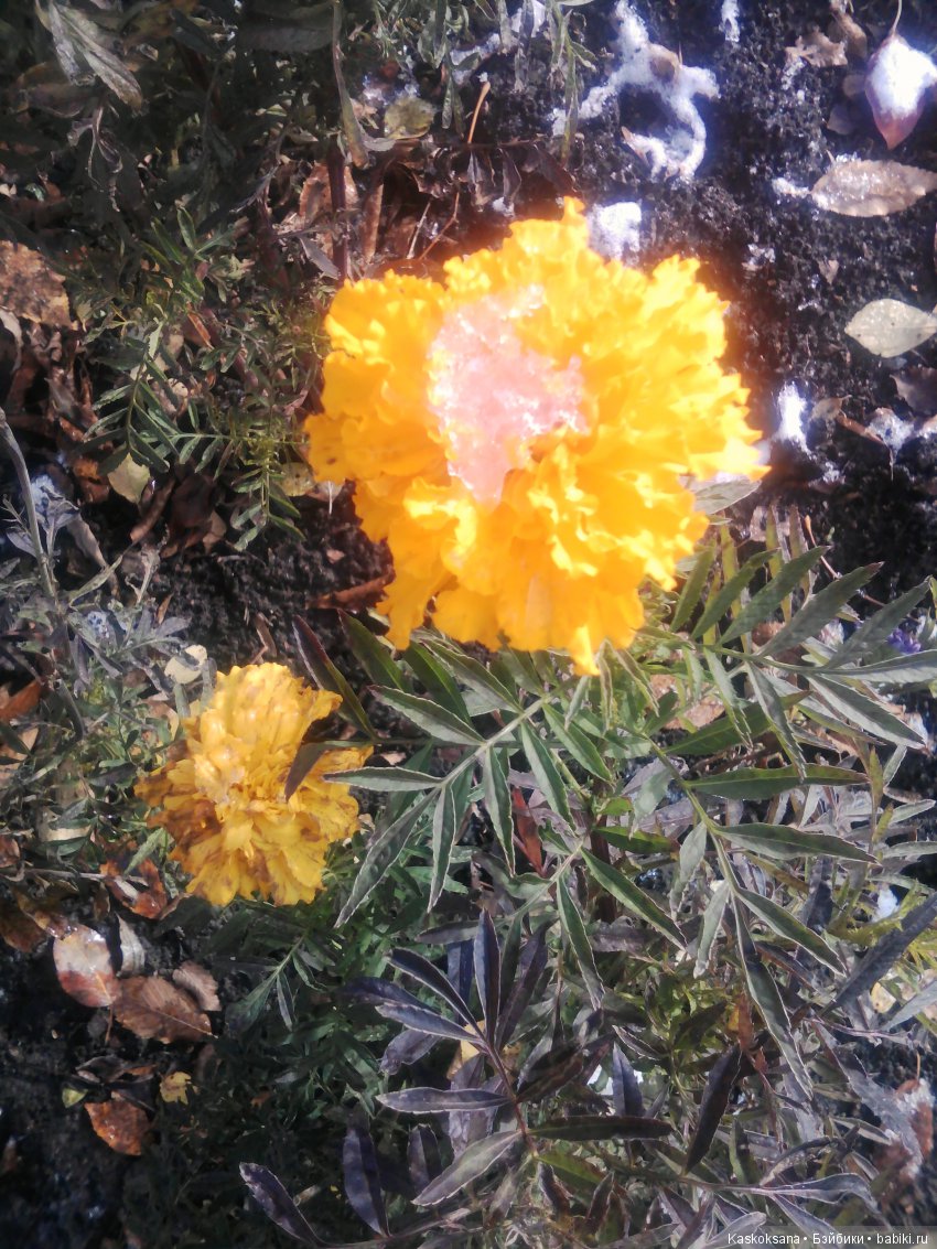 Лори. Первый снег — American Girl Mini: Куклы 16 см (фото 9)