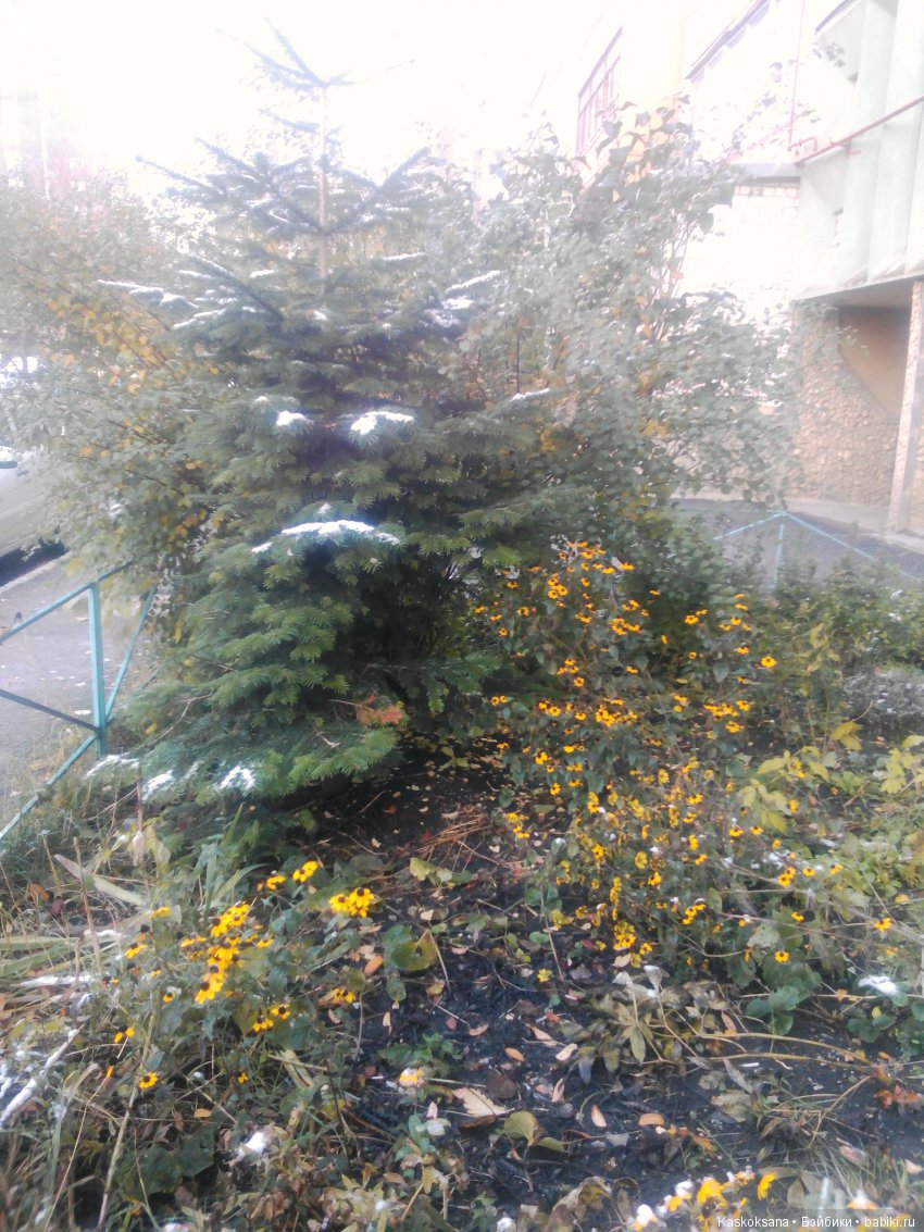 Лори. Первый снег — American Girl Mini: Куклы 16 см (фото 7)