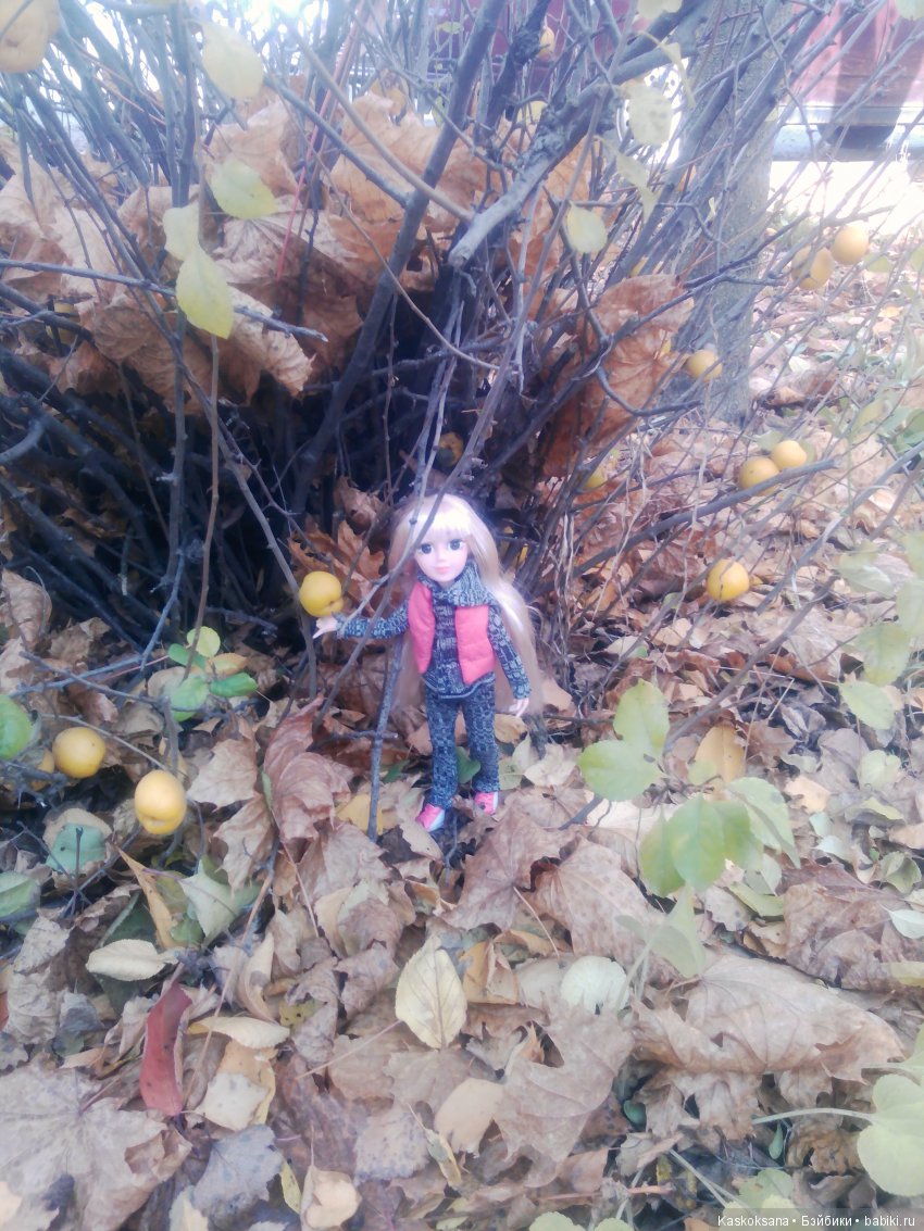 Алёнка — Гибриды шарнирных кукол (не БЖД): подбор тела (фото 5)