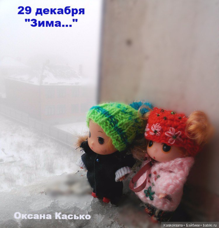 Ожидание Нового года. Лори и малыши-любимчики