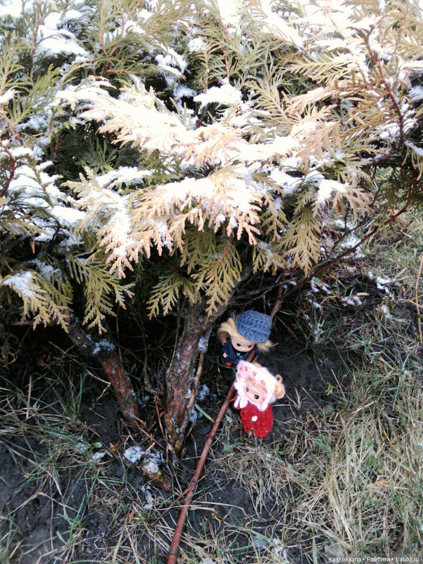 Любимчики-волонтеры весны (фото 3)