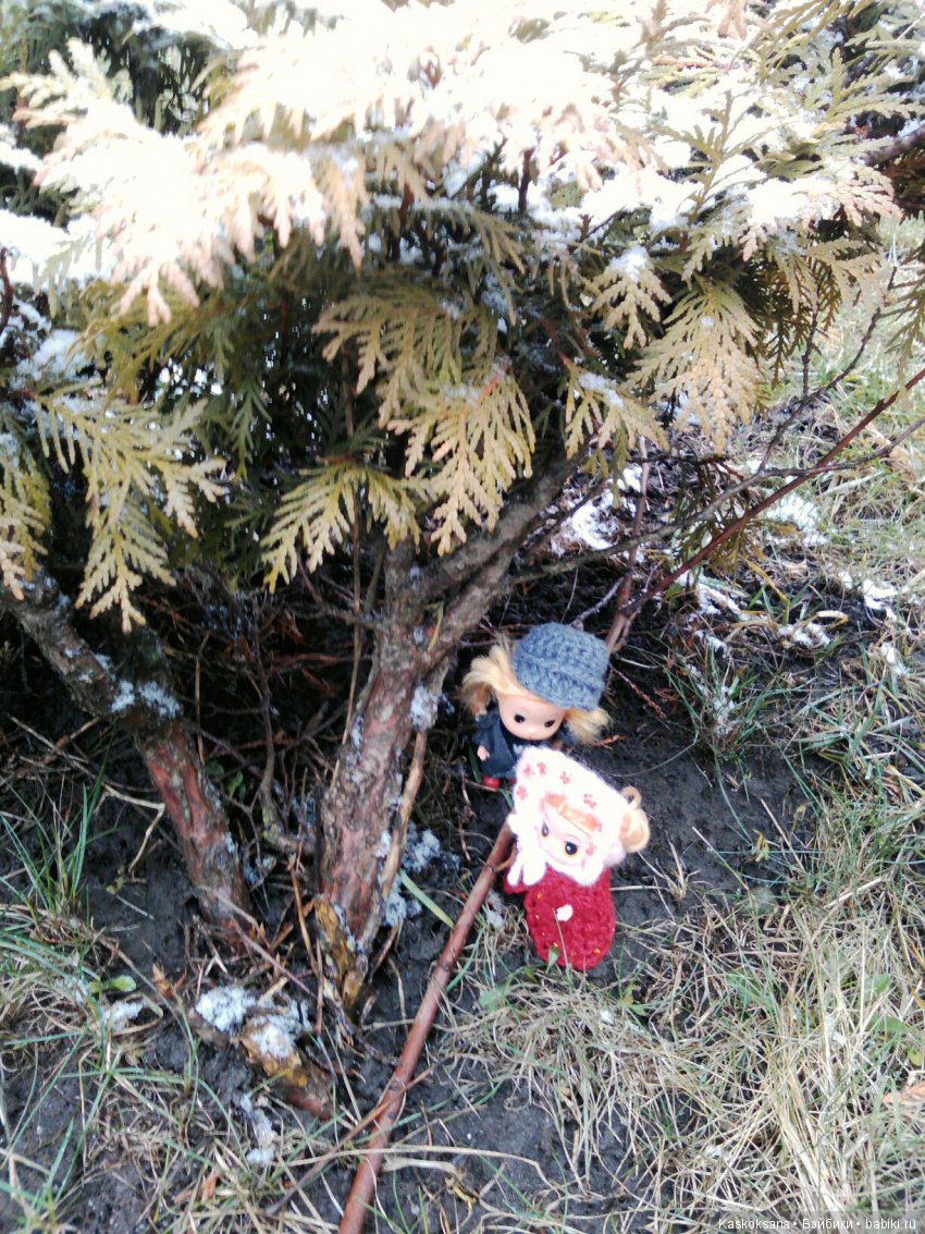 Любимчики-волонтеры весны (фото 2)