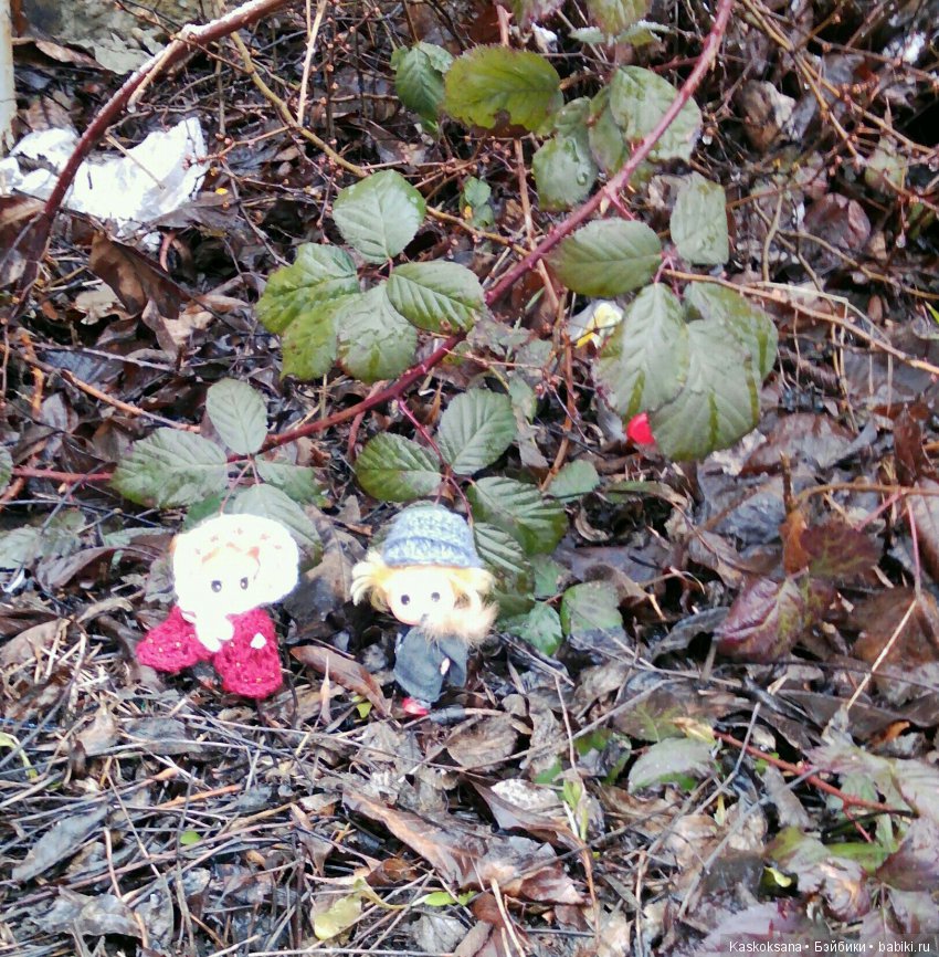 Любимчики-волонтеры весны (фото 4)