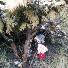 Любимчики-волонтеры весны