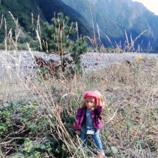 Лори-путешественница