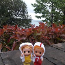 Как Любимчики "на море" приехали