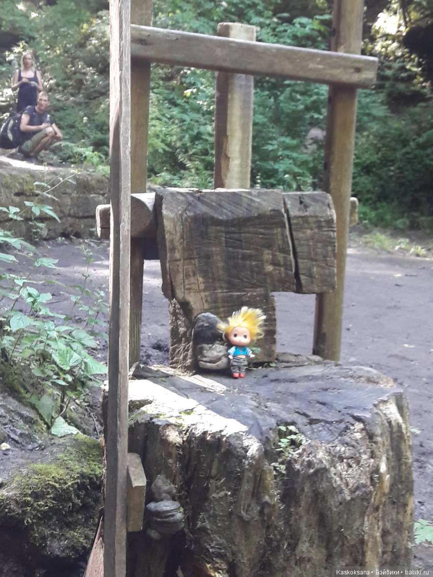 Верочка, ее друзья и не только. Дремучий-дремучий лес