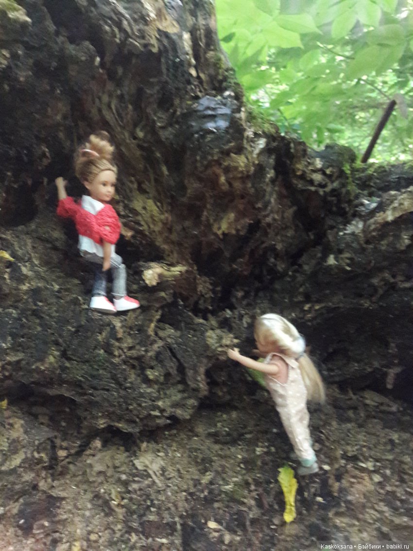 Верочка, ее друзья и не только. Дремучий-дремучий лес (фото 7)