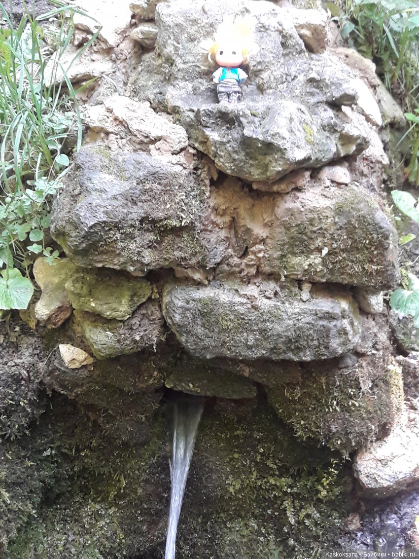 Верочка, ее друзья и не только. Дремучий-дремучий лес