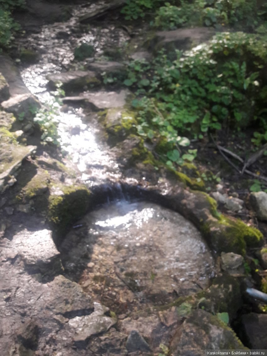 Верочка, ее друзья и не только. Дремучий-дремучий лес