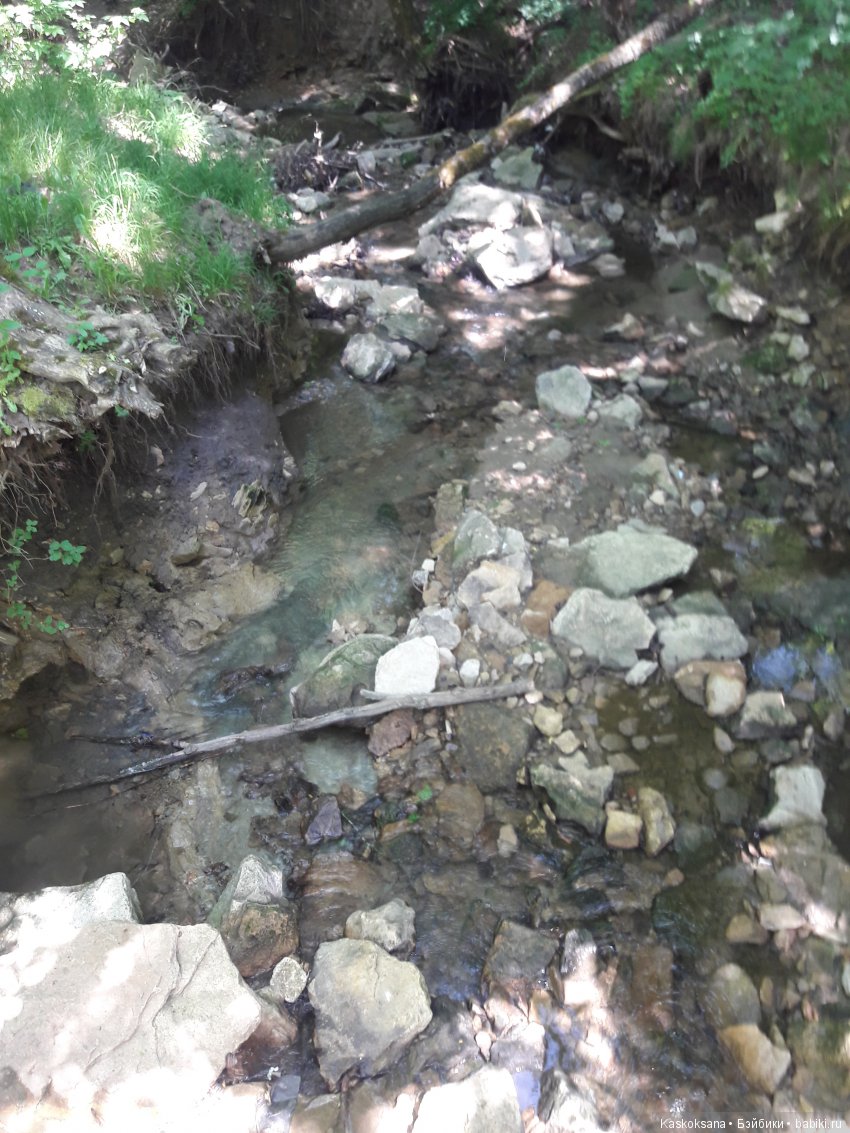 Верочка, ее друзья и не только. Дремучий-дремучий лес (фото 10)