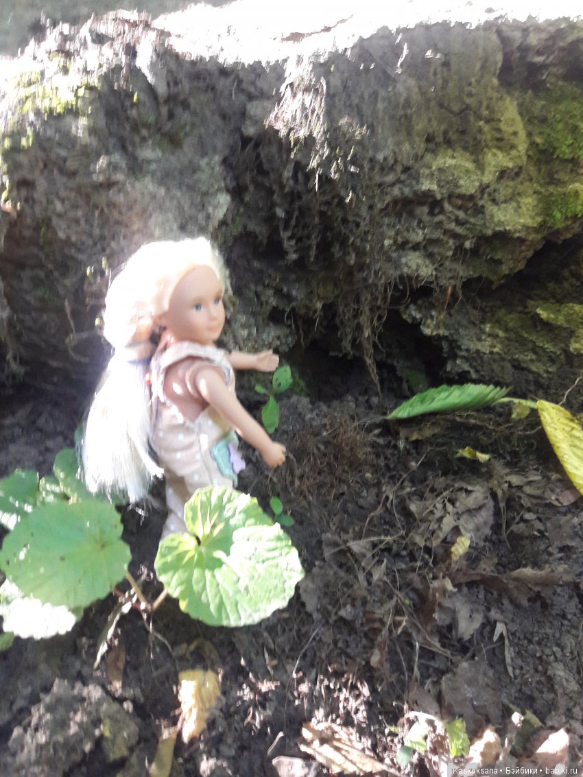 Верочка, ее друзья и не только. Дремучий-дремучий лес (фото 9)