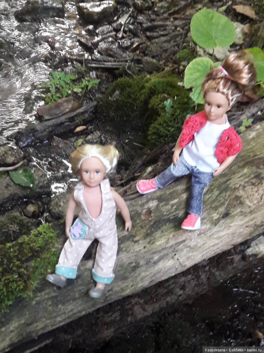 Верочка, ее друзья и не только. Дремучий-дремучий лес