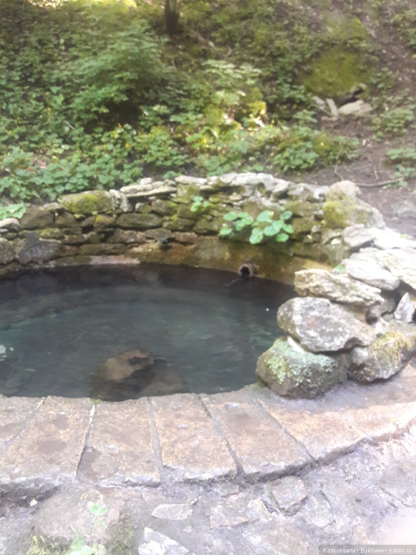 Верочка, ее друзья и не только. Дремучий-дремучий лес