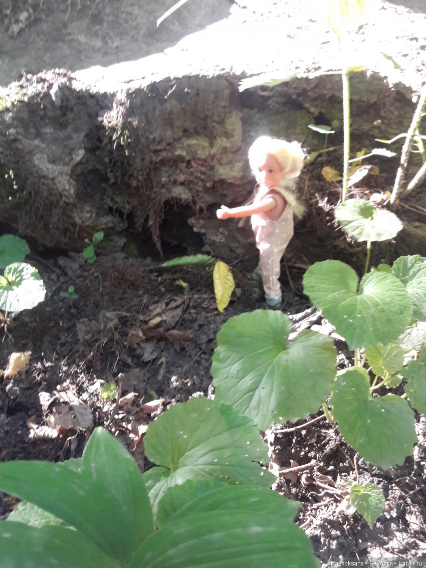 Верочка, ее друзья и не только. Дремучий-дремучий лес (фото 4)