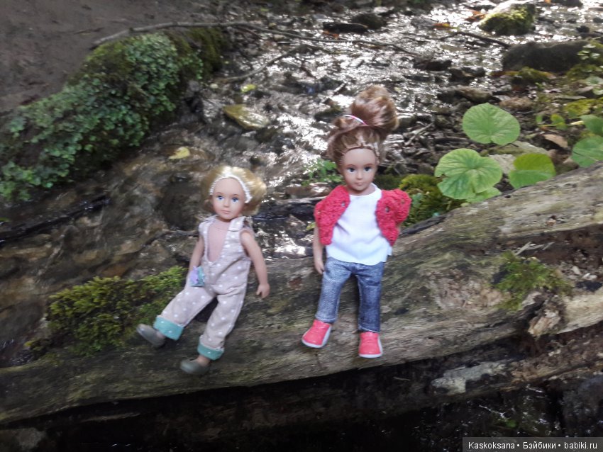 Верочка, ее друзья и не только. Дремучий-дремучий лес (фото 5)