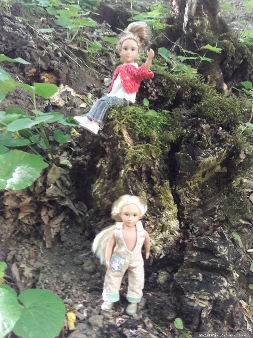 Верочка, ее друзья и не только. Дремучий-дремучий лес (фото 6)