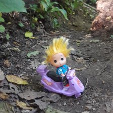 Как Любимчик с эльфийской принцессой гулял, и как кое-кто ему все время мешал