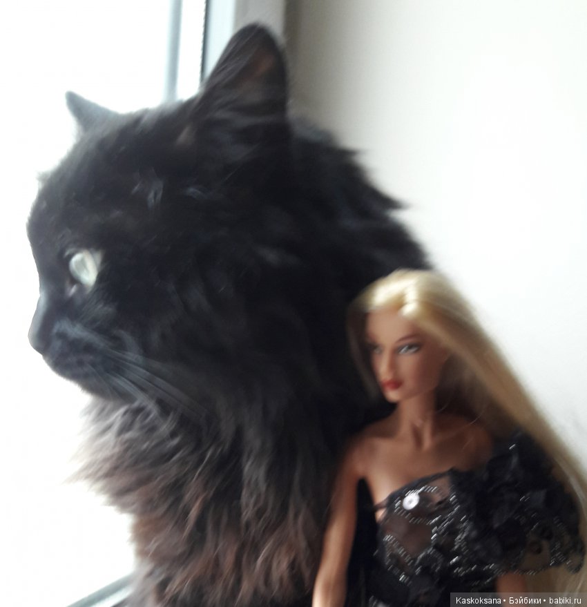 Постконкурсное. Шоу "Час с участницей конкурса красоты". Роксана. Час завершающий