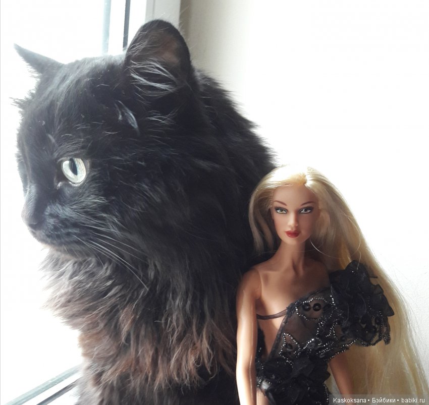 Постконкурсное. Шоу "Час с участницей конкурса красоты". Роксана. Час завершающий