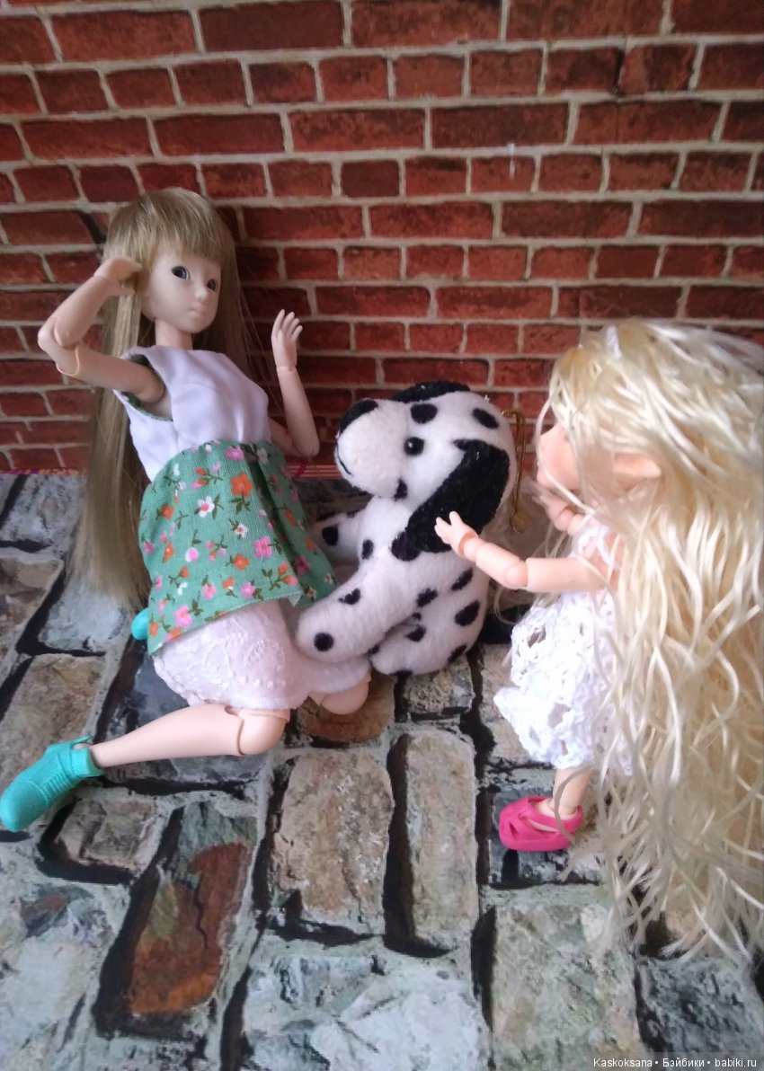 Салма. Миссия выполнима — Куклы и тела Obitsu (Обитсу): 1/6 (фото 6)