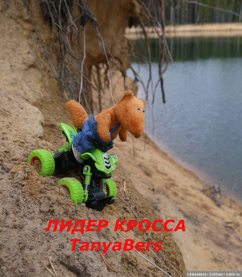 ВелоМотоАвтоКросс. День 3: ЦЕРЕМОНИЯ НАГРАЖДЕНИЯ И ПОКАЗАТЕЛЬНЫЕ ВЫСТУПЛЕНИЯ (фото 5)