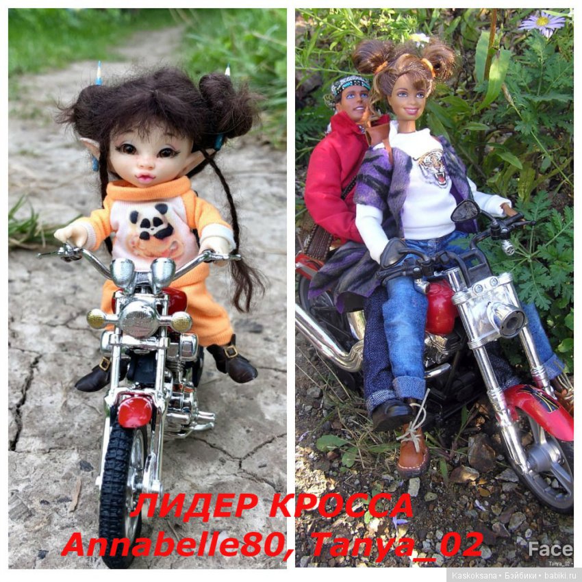 ВелоМотоАвтоКросс. День 3: ЦЕРЕМОНИЯ НАГРАЖДЕНИЯ И ПОКАЗАТЕЛЬНЫЕ ВЫСТУПЛЕНИЯ (фото 9)