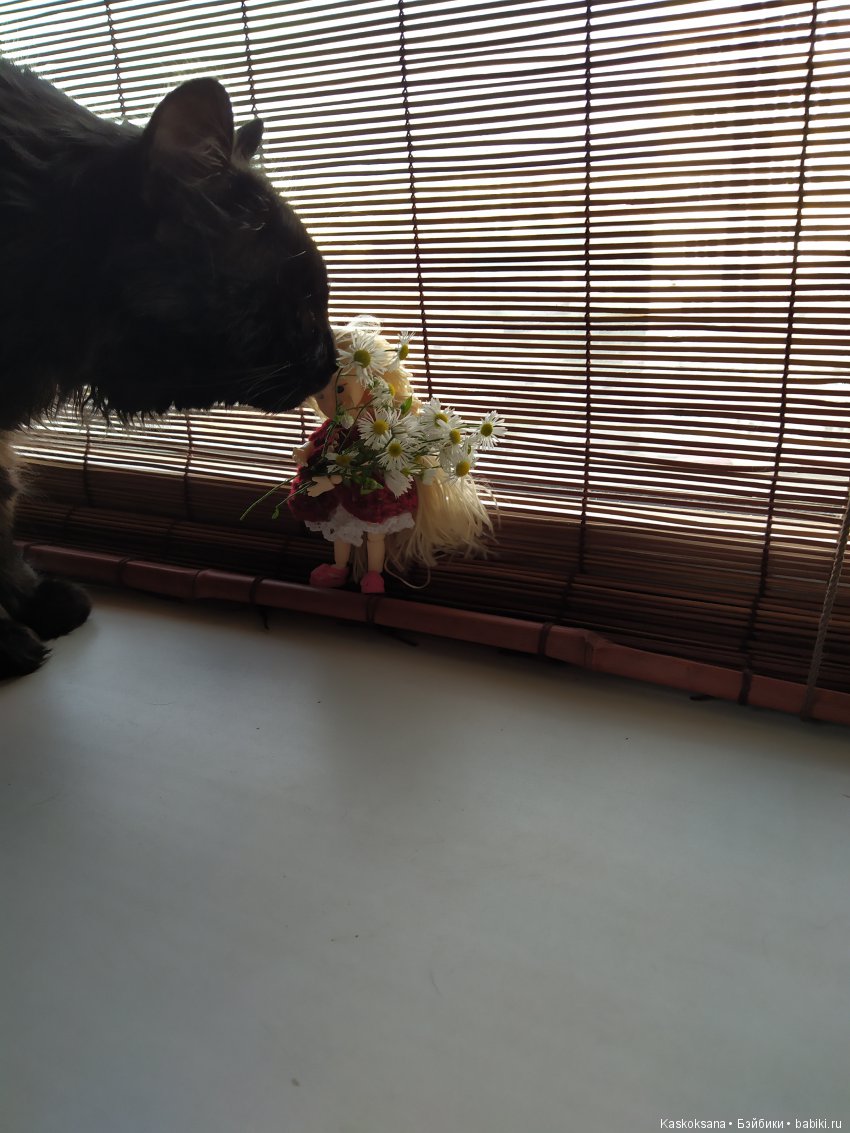 Как эльфиечка Салмелдис к нам в гости приходила (фото 3)