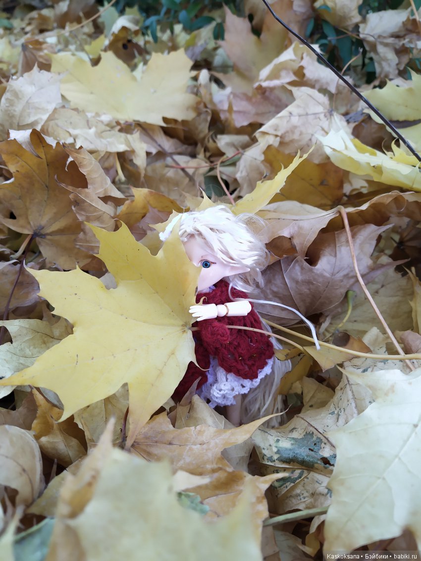 В честь "юбилея" 200-го топика! Или, как без вмешательства эльфов не обошлось