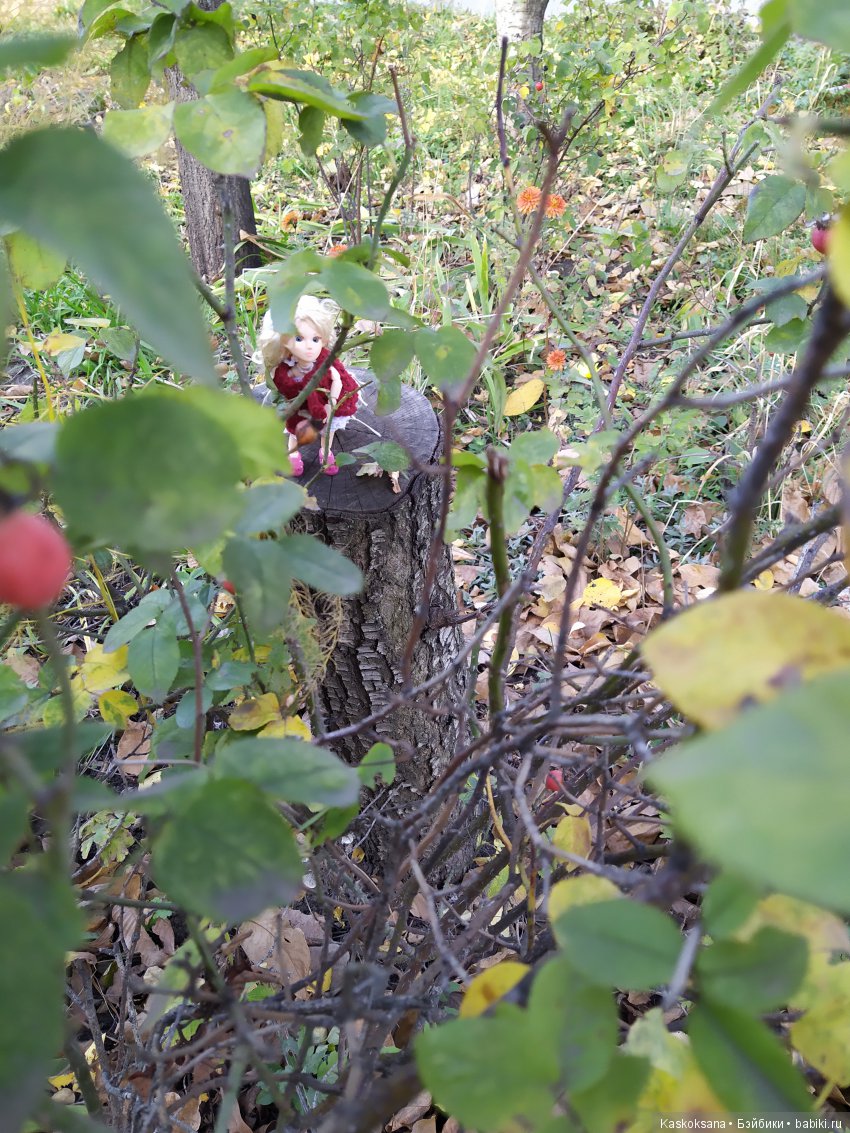 В честь "юбилея" 200-го топика! Или, как без вмешательства эльфов не обошлось (фото 10)