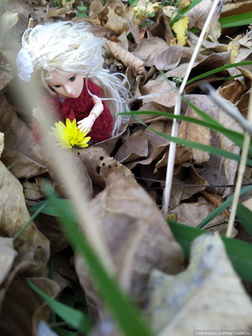 В честь "юбилея" 200-го топика! Или, как без вмешательства эльфов не обошлось