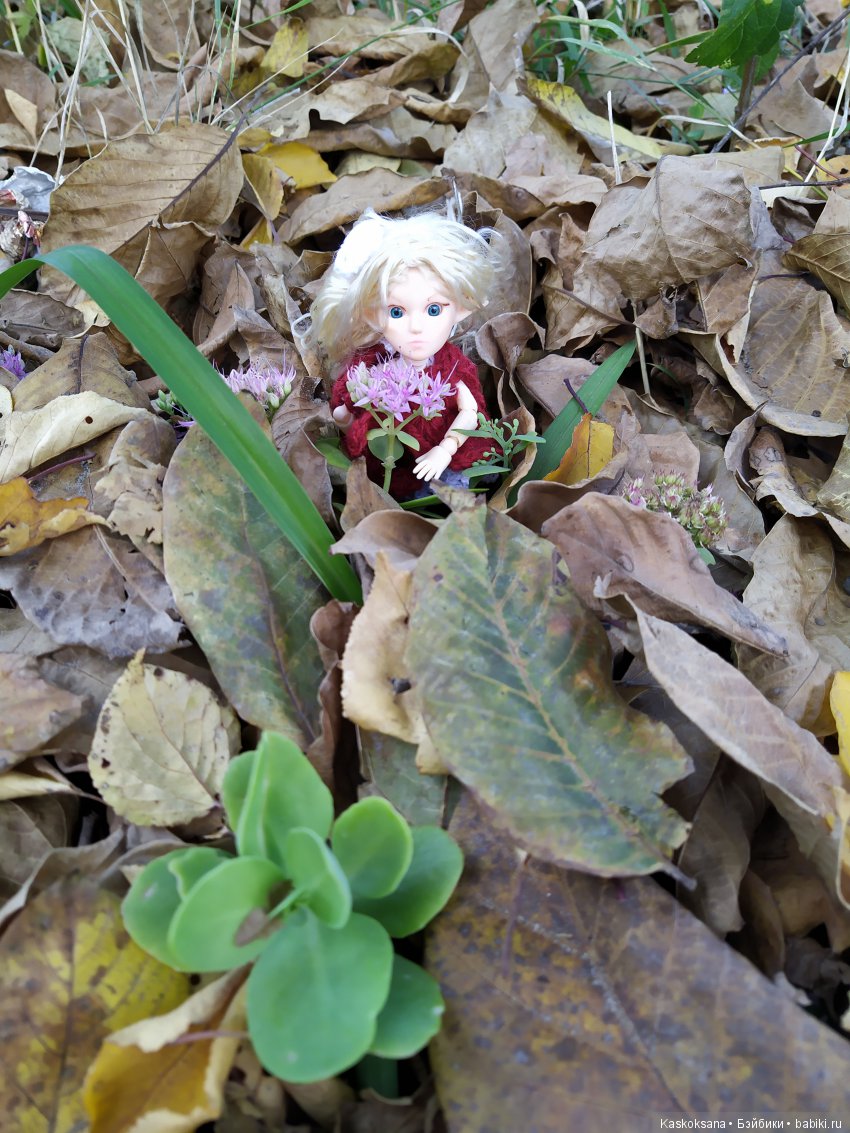 В честь "юбилея" 200-го топика! Или, как без вмешательства эльфов не обошлось