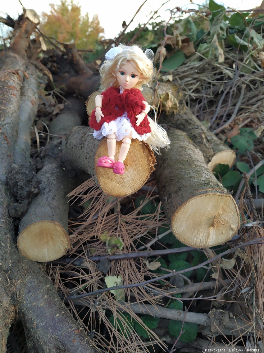 В честь "юбилея" 200-го топика! Или, как без вмешательства эльфов не обошлось (фото 5)