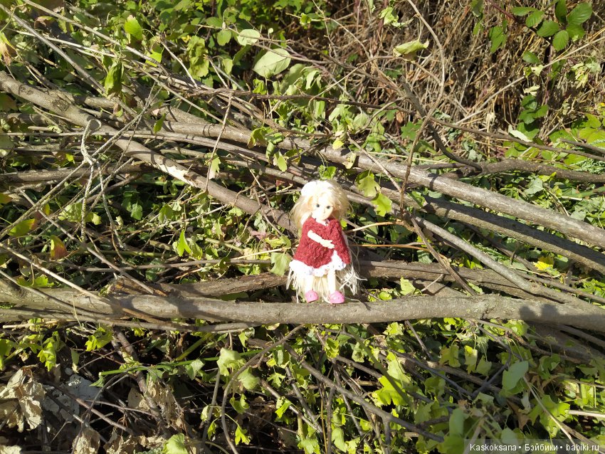 В честь "юбилея" 200-го топика! Или, как без вмешательства эльфов не обошлось (фото 8)