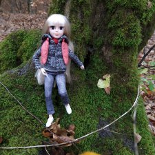 Аленка и компания. Путь к водопадам Руфабго