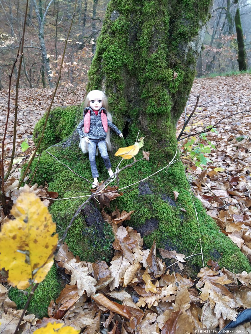 Аленка и компания. Путь к водопадам Руфабго (фото 3)