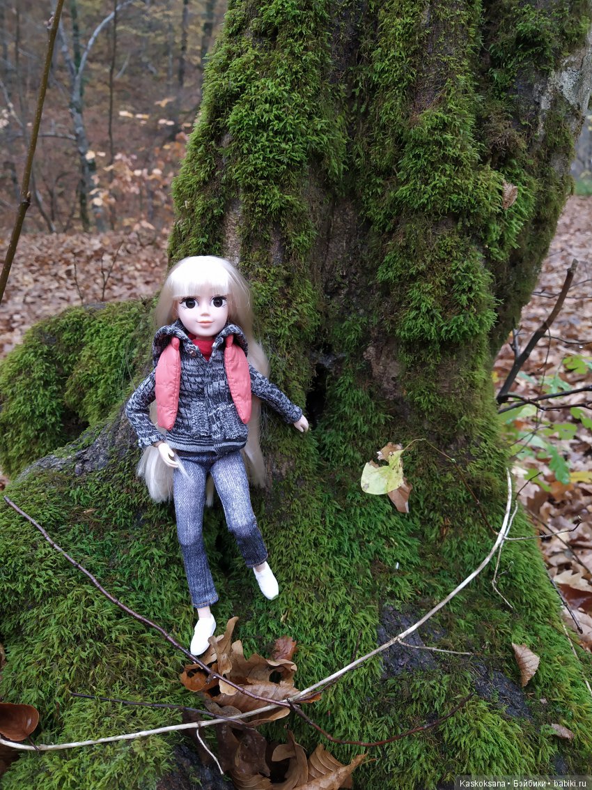 Аленка и компания. Путь к водопадам Руфабго (фото 2)