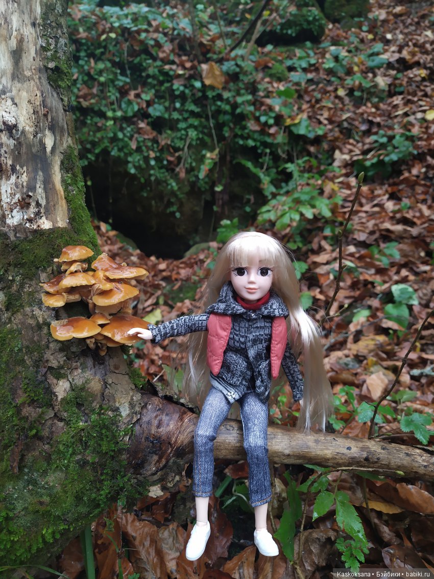 Аленка и компания. Путь к водопадам Руфабго