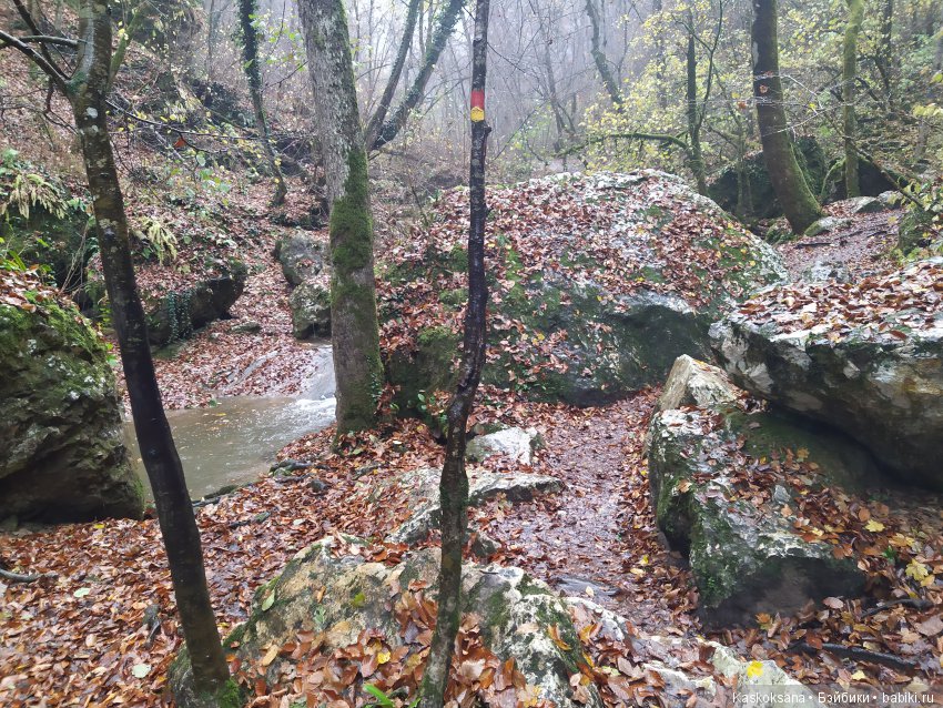 Аленка и компания. Путь к водопадам Руфабго