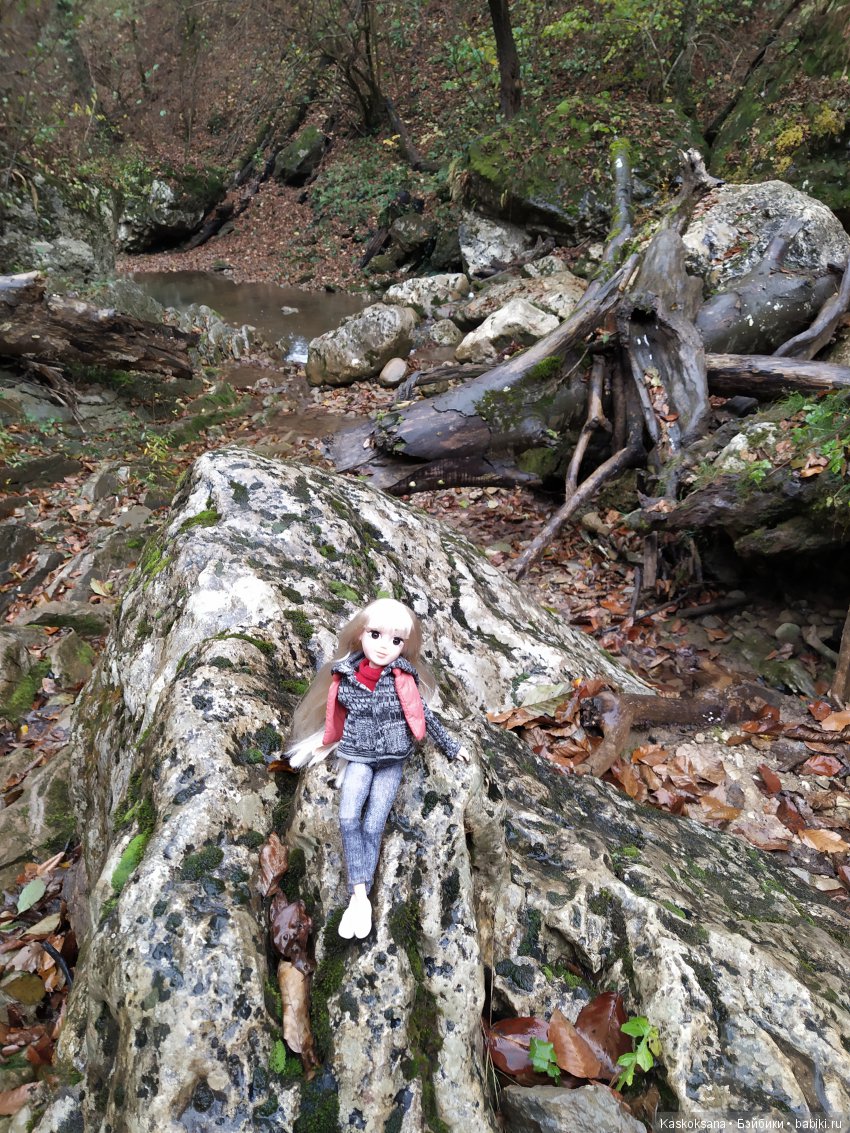 Аленка и компания. Путь к водопадам Руфабго (фото 6)