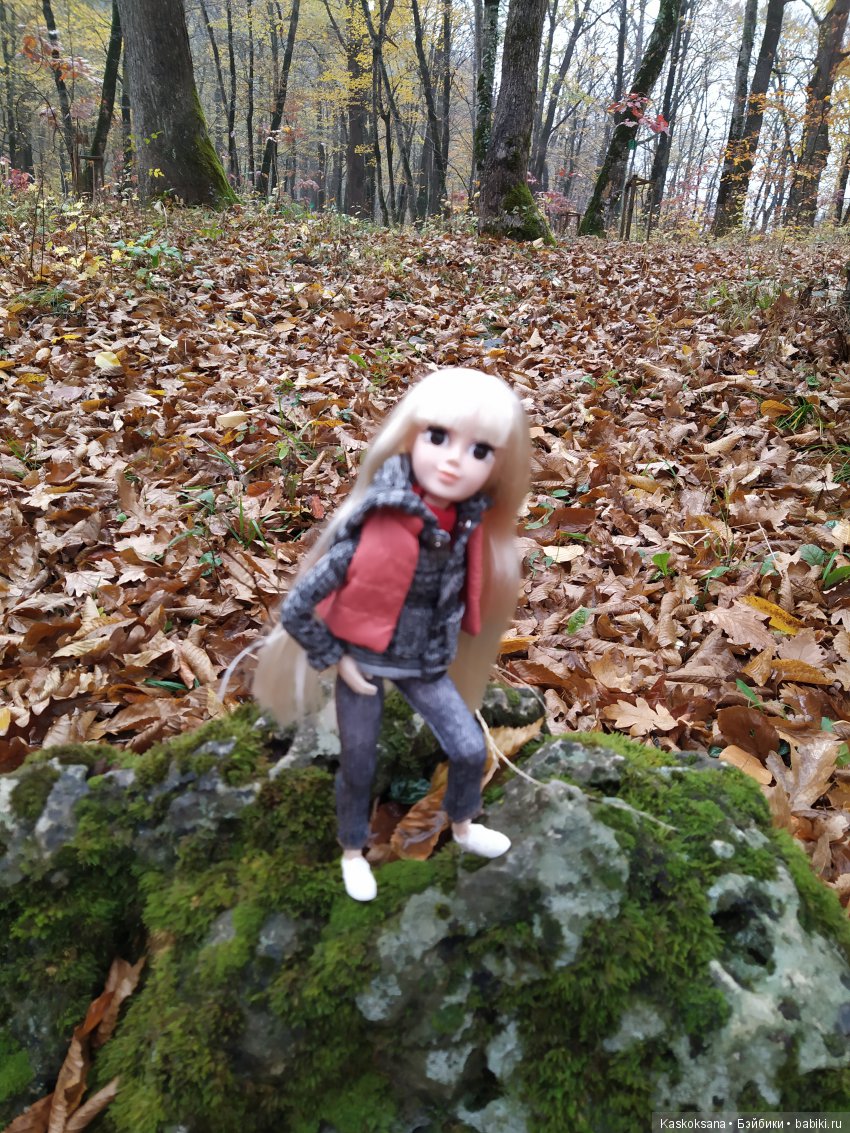 Аленка и компания. Путь к водопадам Руфабго (фото 4)