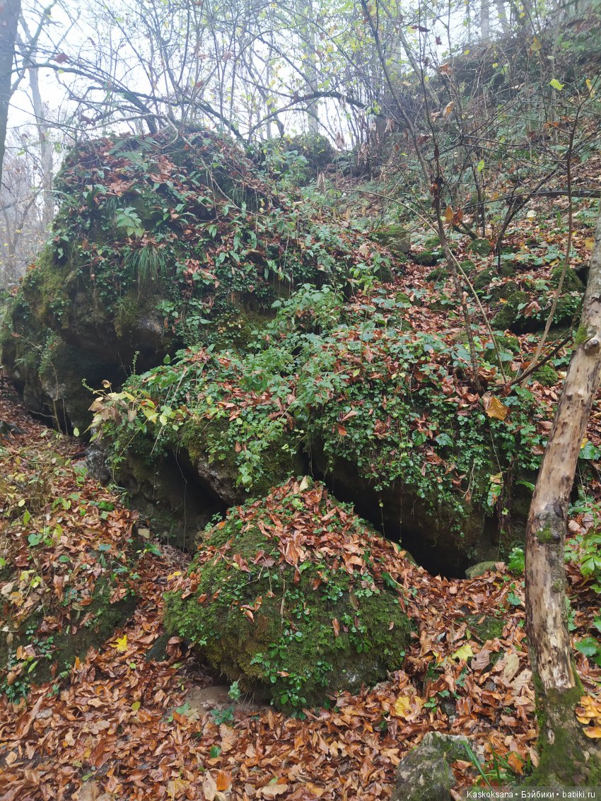 Аленка и компания. Путь к водопадам Руфабго