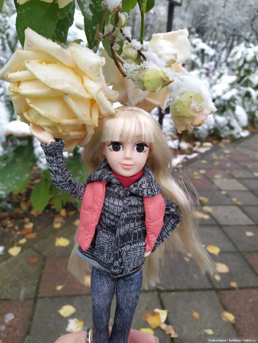 Аленка и первый снег — Куклы и тела Obitsu (Обитсу): 1/6