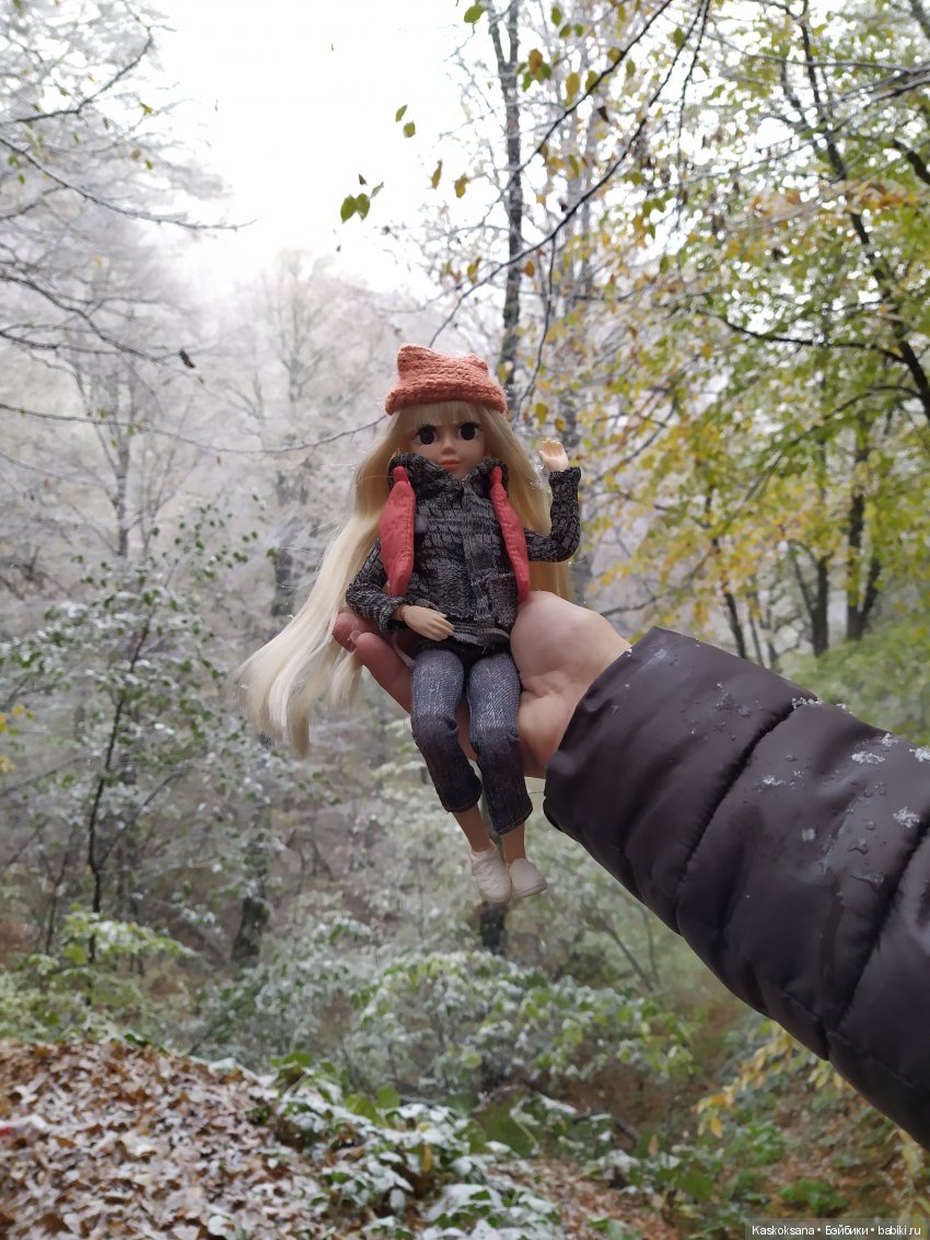 Аленка и первый снег — Куклы и тела Obitsu (Обитсу): 1/6